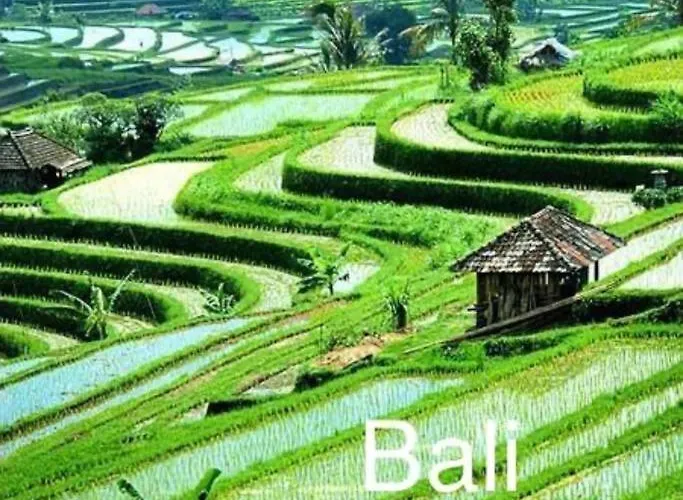 Villa Bali Om Center - Location, Beautiful Near The