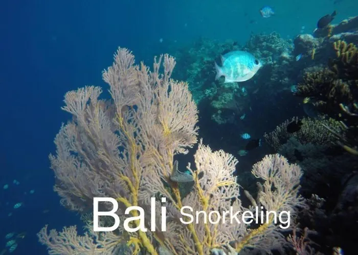 Bali Om Center - Location, Beautiful Near The ヴィラ